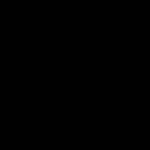 Meet your Posher, Ericka